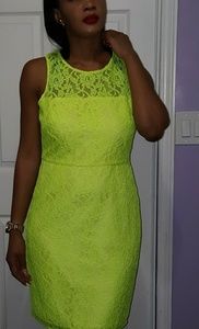 J.Crew Elegant lace dress